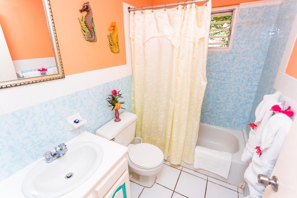 Villa Criss Ocho Rios Bilik gambar